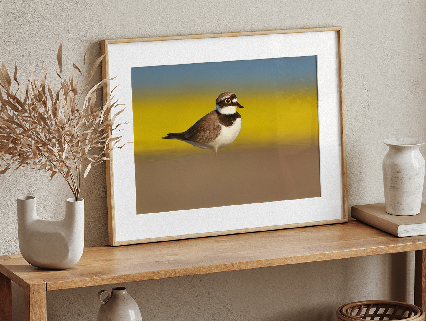Little ringed plover